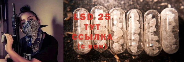spice Богданович
