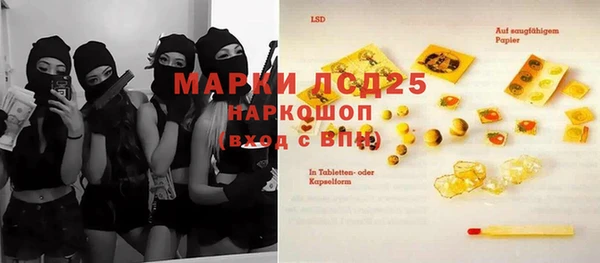 spice Богданович