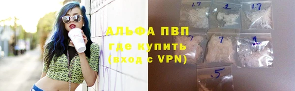 spice Богданович