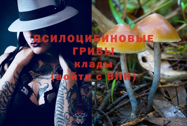 наркотики Богородицк