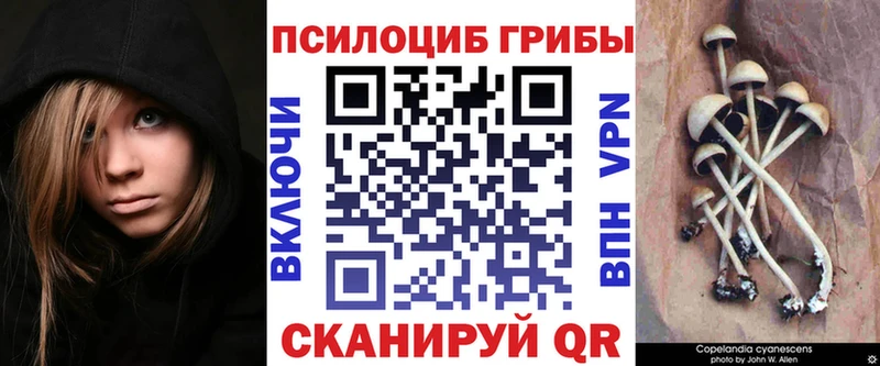 Псилоцибиновые грибы мицелий  Купить где  Ступино 